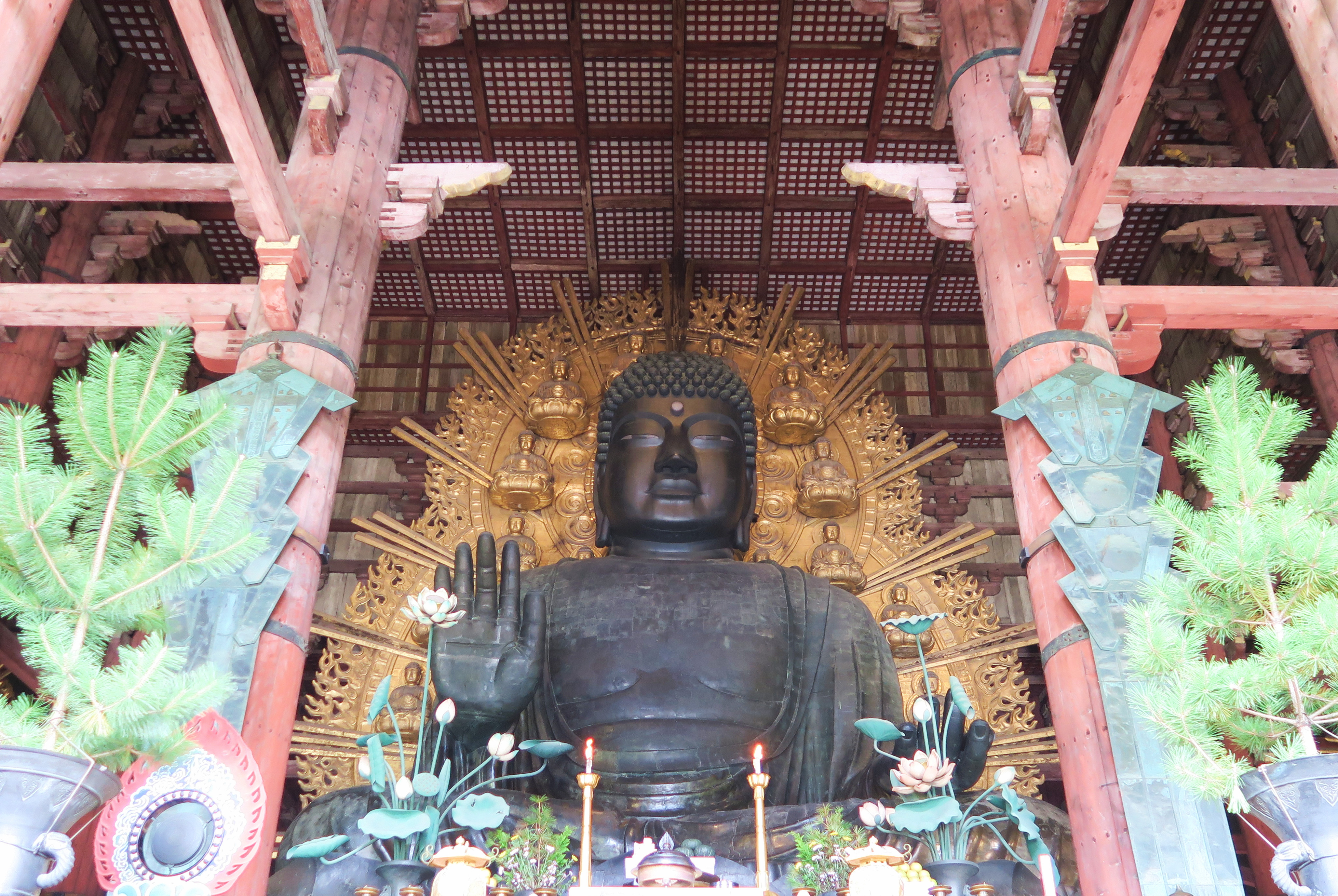 KIKI很推薦來奈良東大寺走走，仰望大佛的莊嚴神聖，滌淨內心。