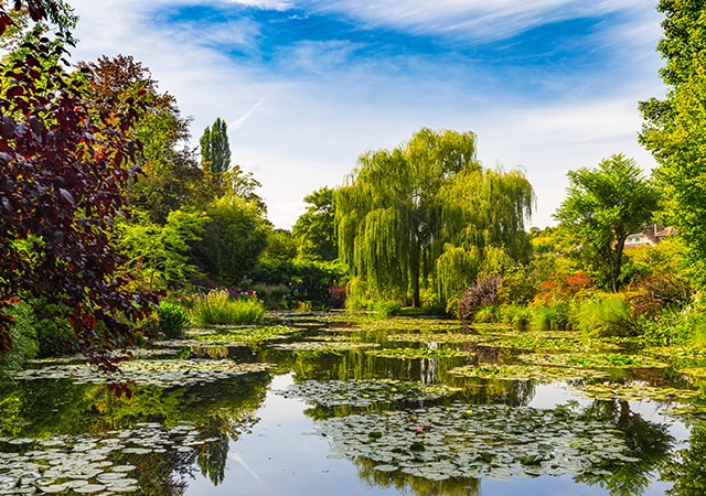 莫內花園Fondation Claude Monet