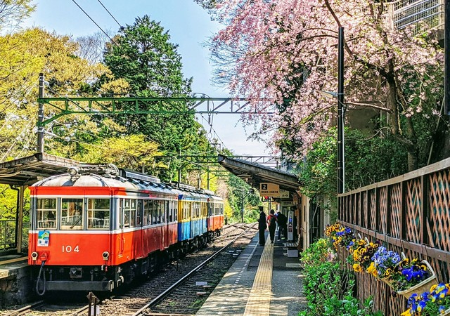 箱根登山小火車