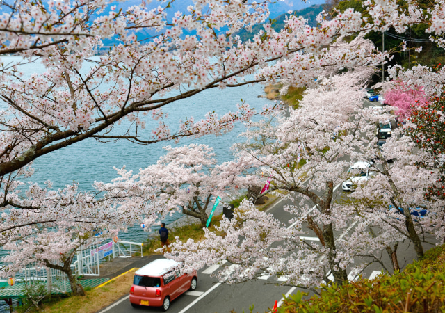 海津大崎