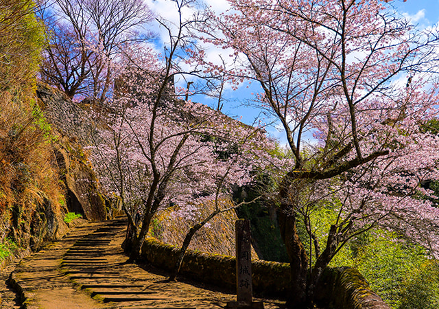 岡城阯公園