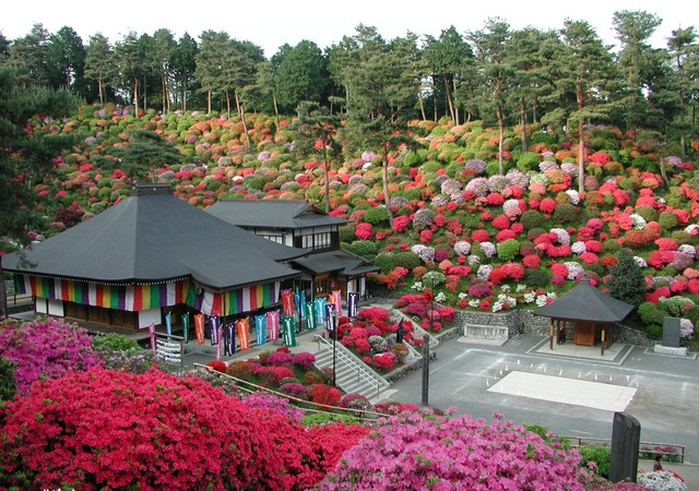塩船觀音寺