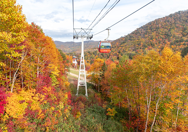 紅葉纜車