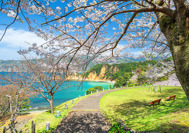 黃金崎公園