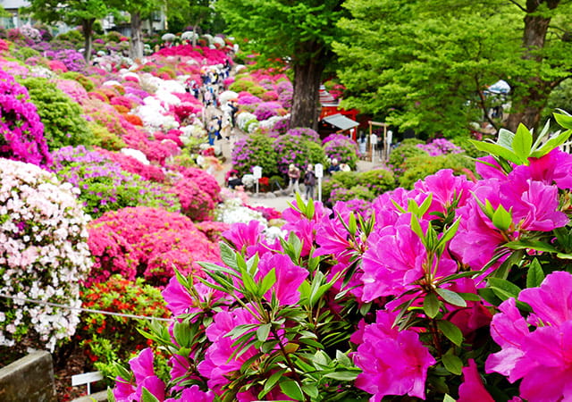 根津神社