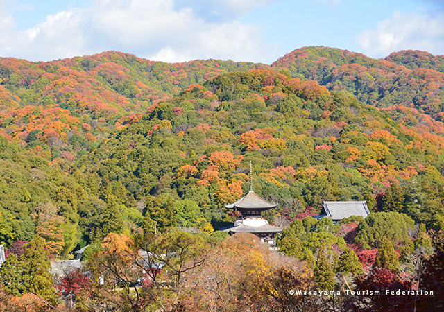根來寺