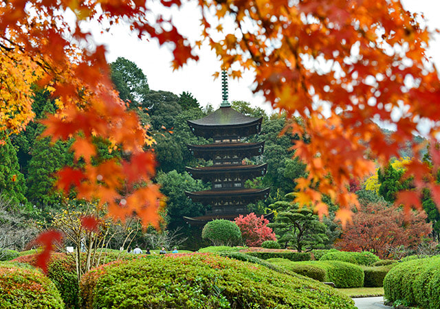 瑠璃光寺