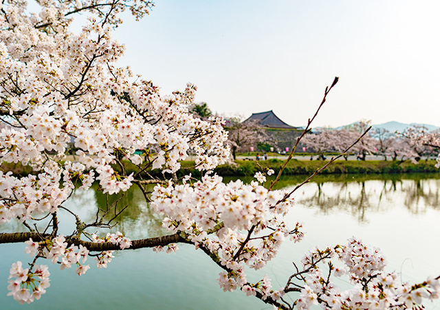 篠山城下町
