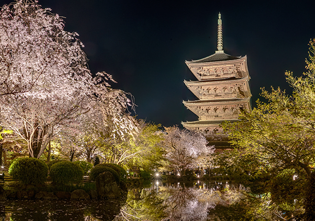 東寺