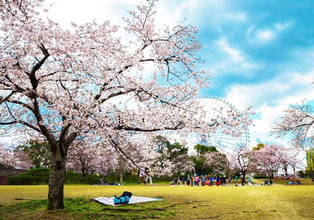 萬博紀念公園
