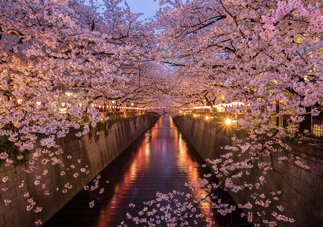 目黑川