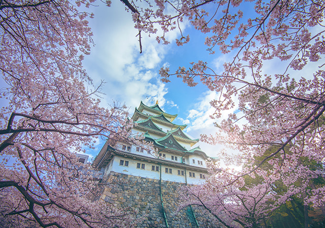 名古屋城