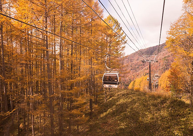 日光白根山纜車