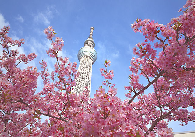 東京晴空塔