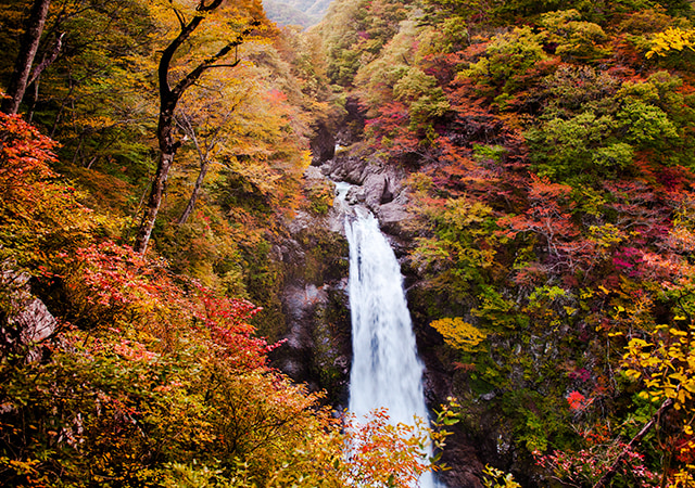 秋保瀑布