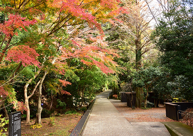 萬葉公園
