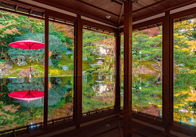 秘境竹林庭園
