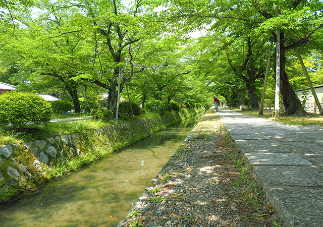 哲學之道