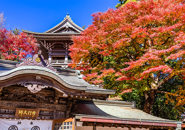 高尾山