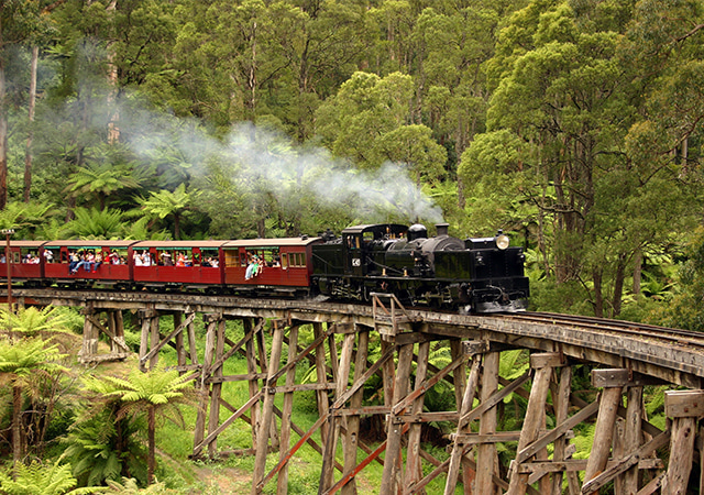 普芬比利鐵路 Puffing Billy Railway