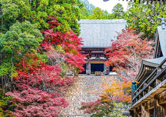 神護寺