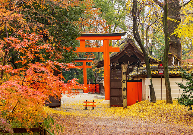賀茂御祖神社