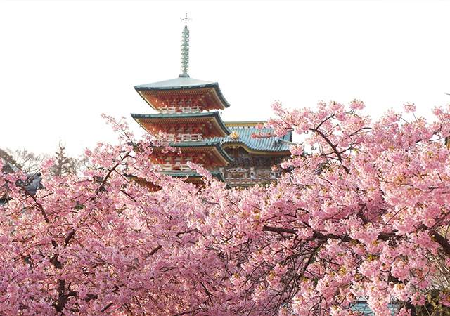 潮聲山．耕三寺
