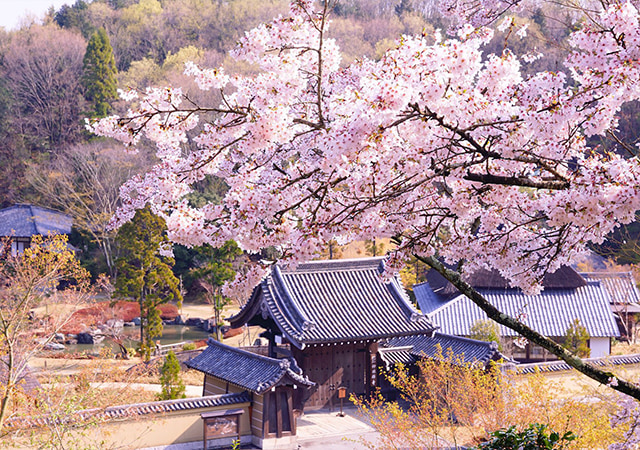 神勝寺禪與庭的美術館