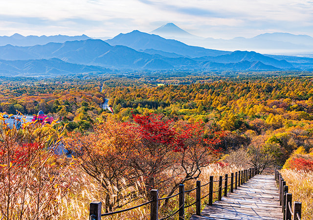 美麗之森展望台