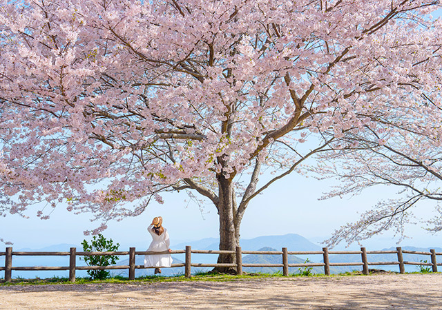 紫雲出山