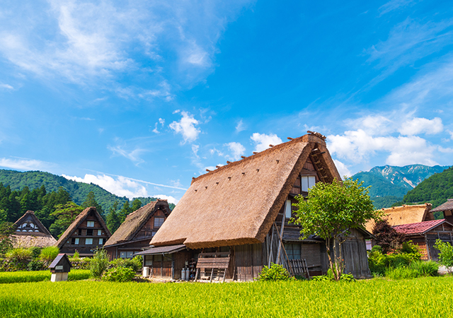 白川鄉合掌村