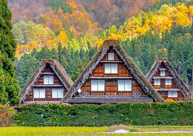 白川鄉合掌村
