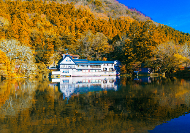 金鱗湖
