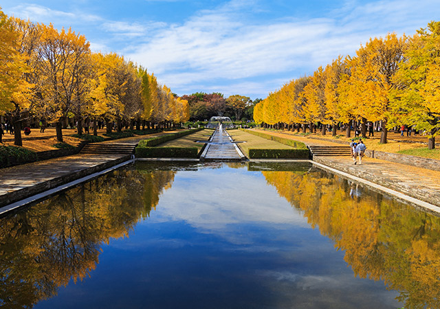 國營昭和紀念公園