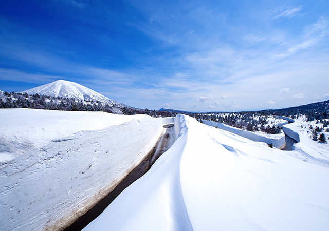 八甲田山雪之迴廊