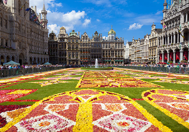 布魯塞爾花毯節Brussels Flower Carpet