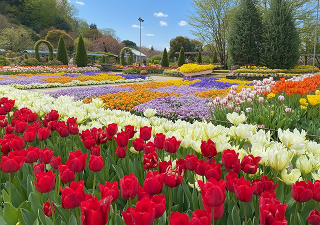 足利花卉公園