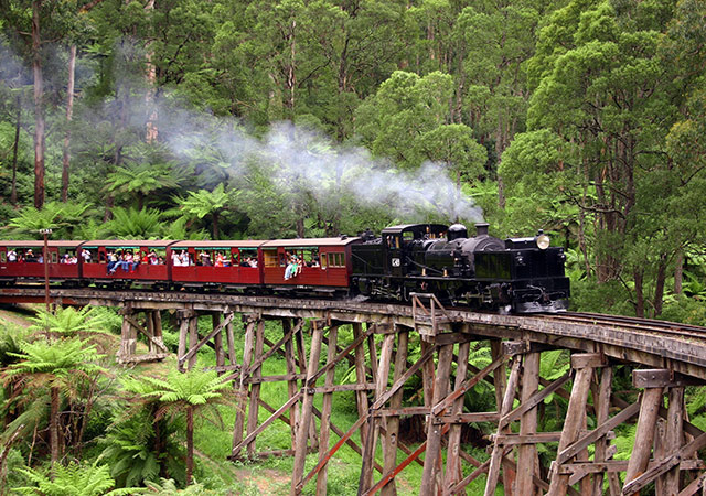 普芬比利鐵路 Puffing Billy Railway