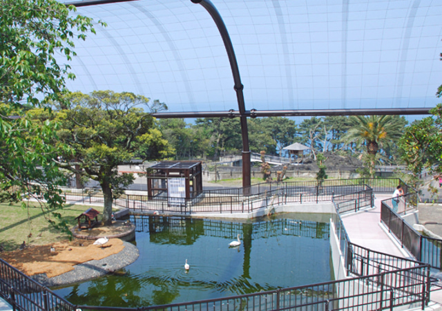 都立大島公園