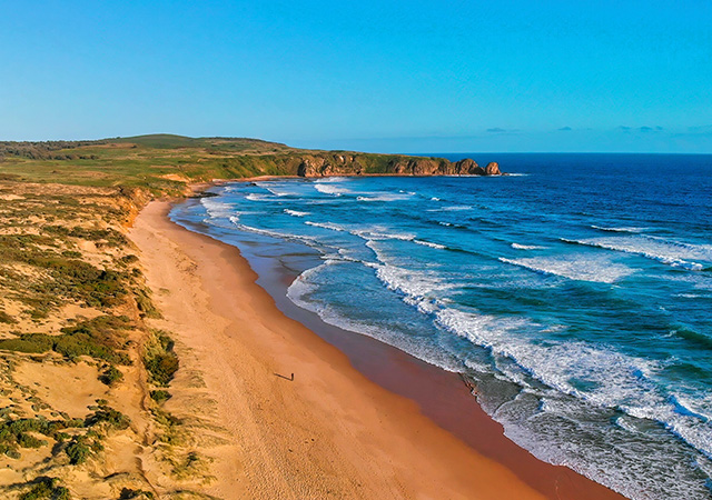 菲利普島Phillip Island