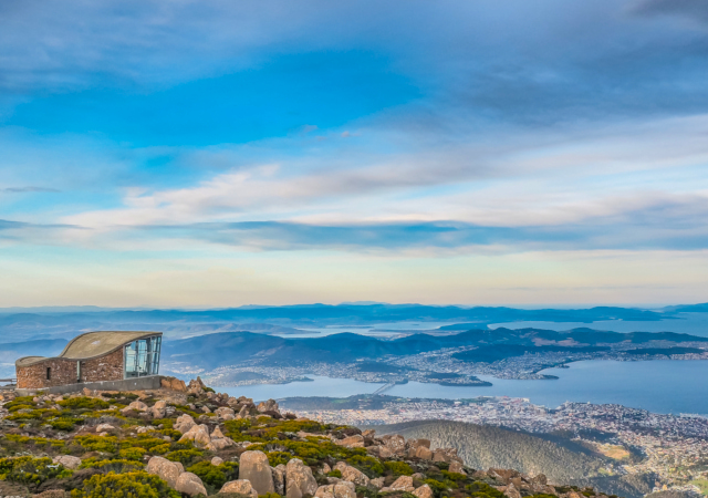 威靈頓⼭ Mt. Wellington