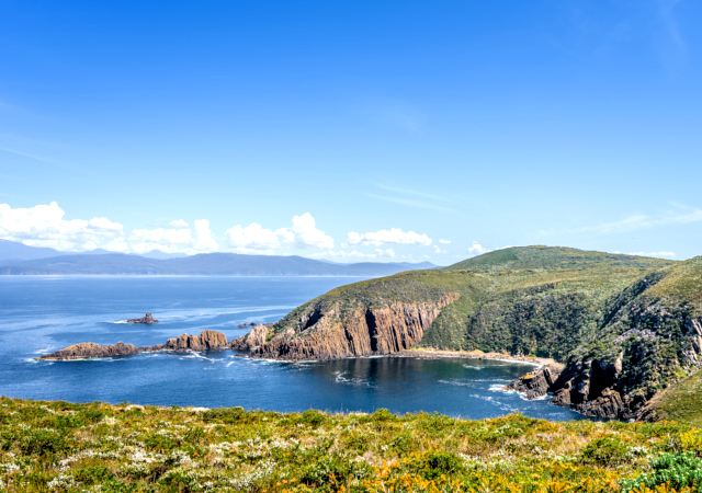 塔斯⾺尼亞Tasmania