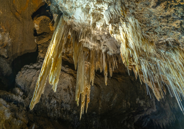 ⾺拉庫帕洞⽳之旅 Marakoopa Cave