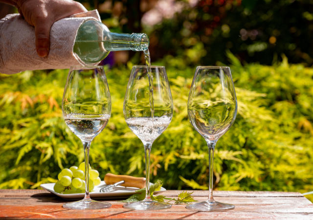 葡萄酒莊品酒⽤餐Winery