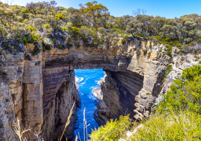塔斯曼國家公園Tasman National Park