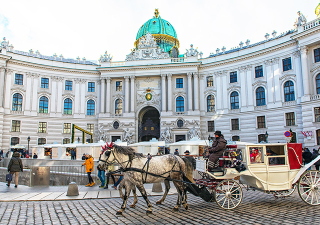 維也納馬車環城之旅Horse Carriage Tour