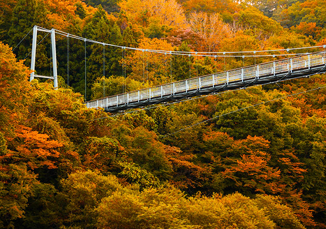 山彥吊橋