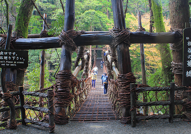 祖谷葛藤橋