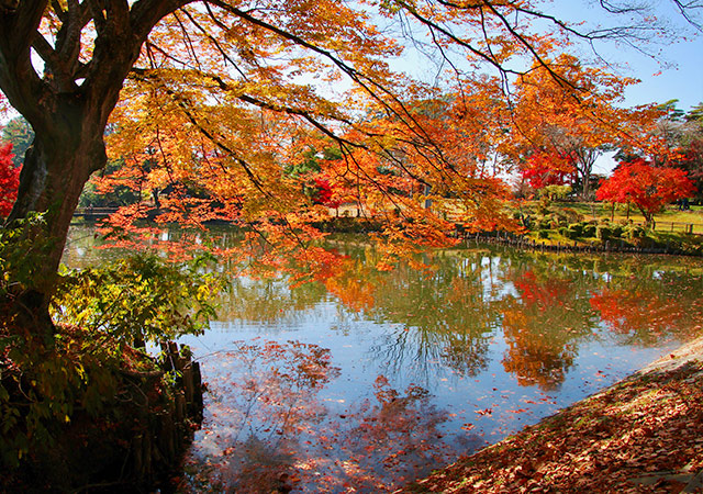 名勝須賀川牡丹園