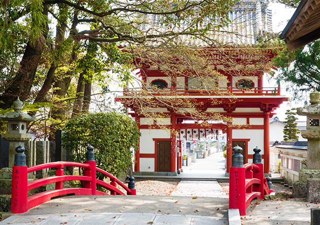 金泉寺